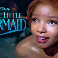 Movie Review: The Little Mermaid – Part of Your Social Controversy~